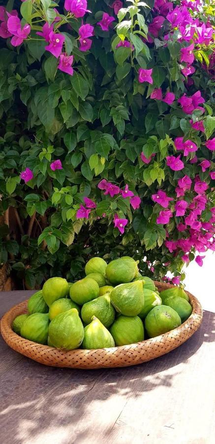 Tenuta Petra Manna Palau Ngoại thất bức ảnh